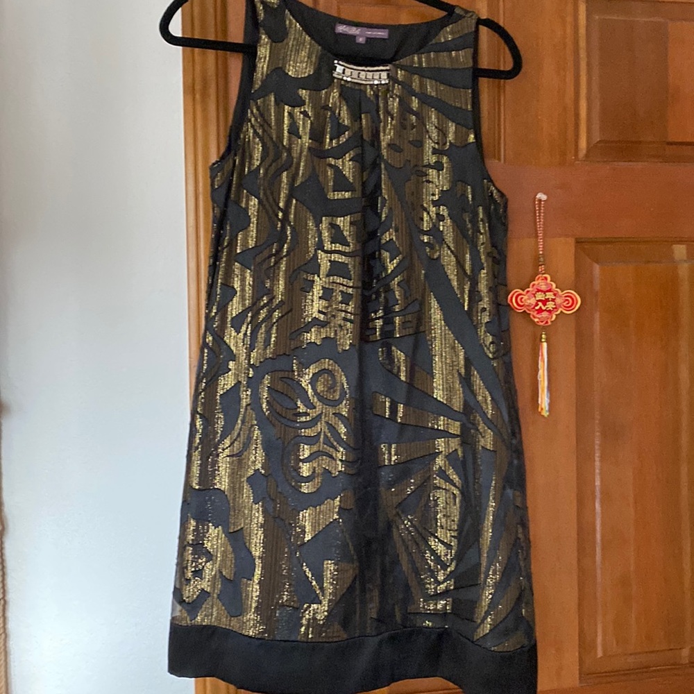 Hale Bob A-line Silk dress.